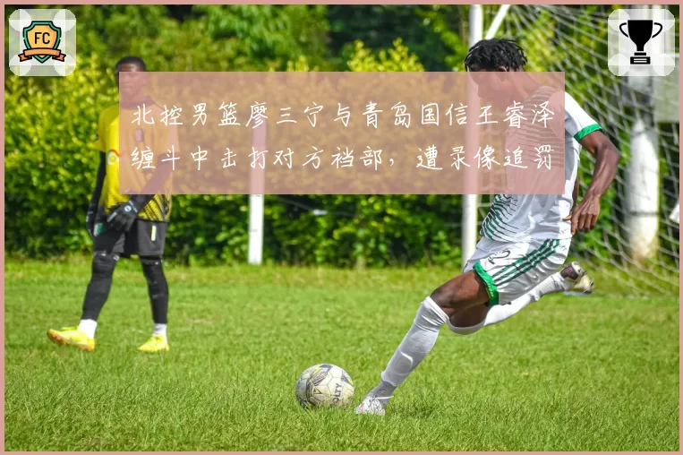 北控男篮廖三宁与青岛国信王睿泽缠斗中击打对方裆部,遭录像追罚停赛